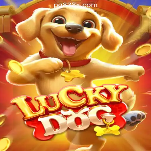 Exploring LuckyDog: An In-Depth Look Into the 838X.COM Platform-Oficial Slots Brasil
